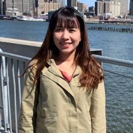 HSINLIEN HU, Licensed Master Social Worker (LMSW) in Champaign, IL