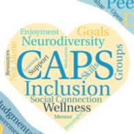 Community Autism Peer Specialist Program, Other
