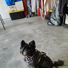 Jaye Mueller, Licensed Clinical Social Worker (LCSW)