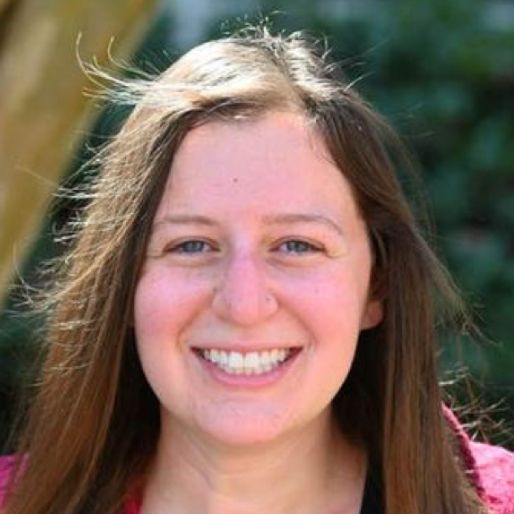 Lauren Chase, Licensed Clinical Mental Health Counselor (LCMHC)