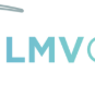 LMV Counseling, Licensed Clinical Social Worker (LCSW)