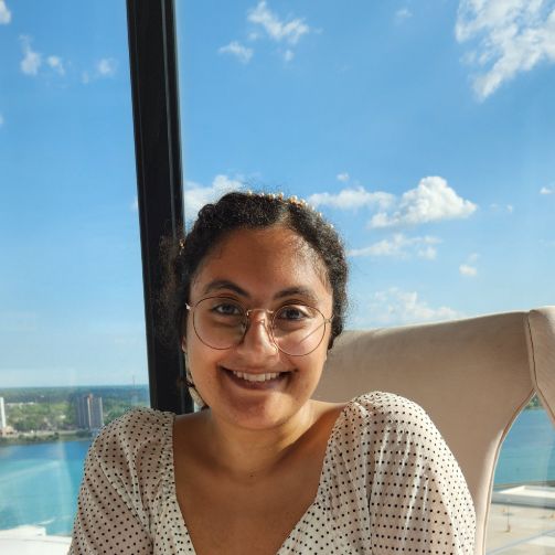 Mary Ann Kaoud, Licensed Mental Health Counselor (LMHC) in Livonia
